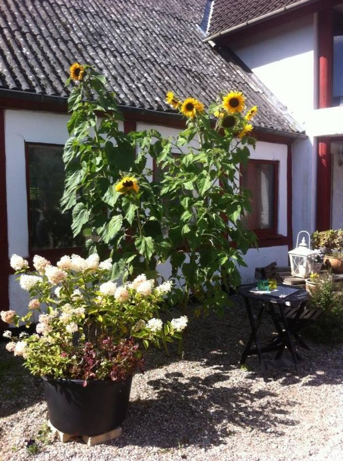 Praestogaard Bed & Breakfast Exterior photo